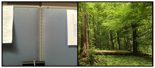 Which would you rather be looking at?