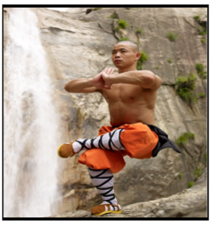 Buddhist Monks, with all of their mind-body connectedness talk, are really onto something.