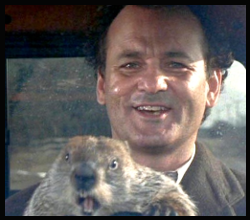 Bill Murray rocks.