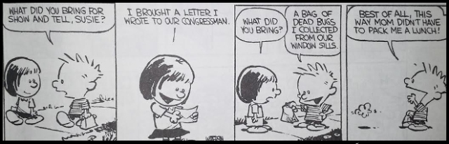 packing lunches